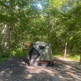 Review photo of Wallace State Park Campground by Andrew H., July 7, 2026