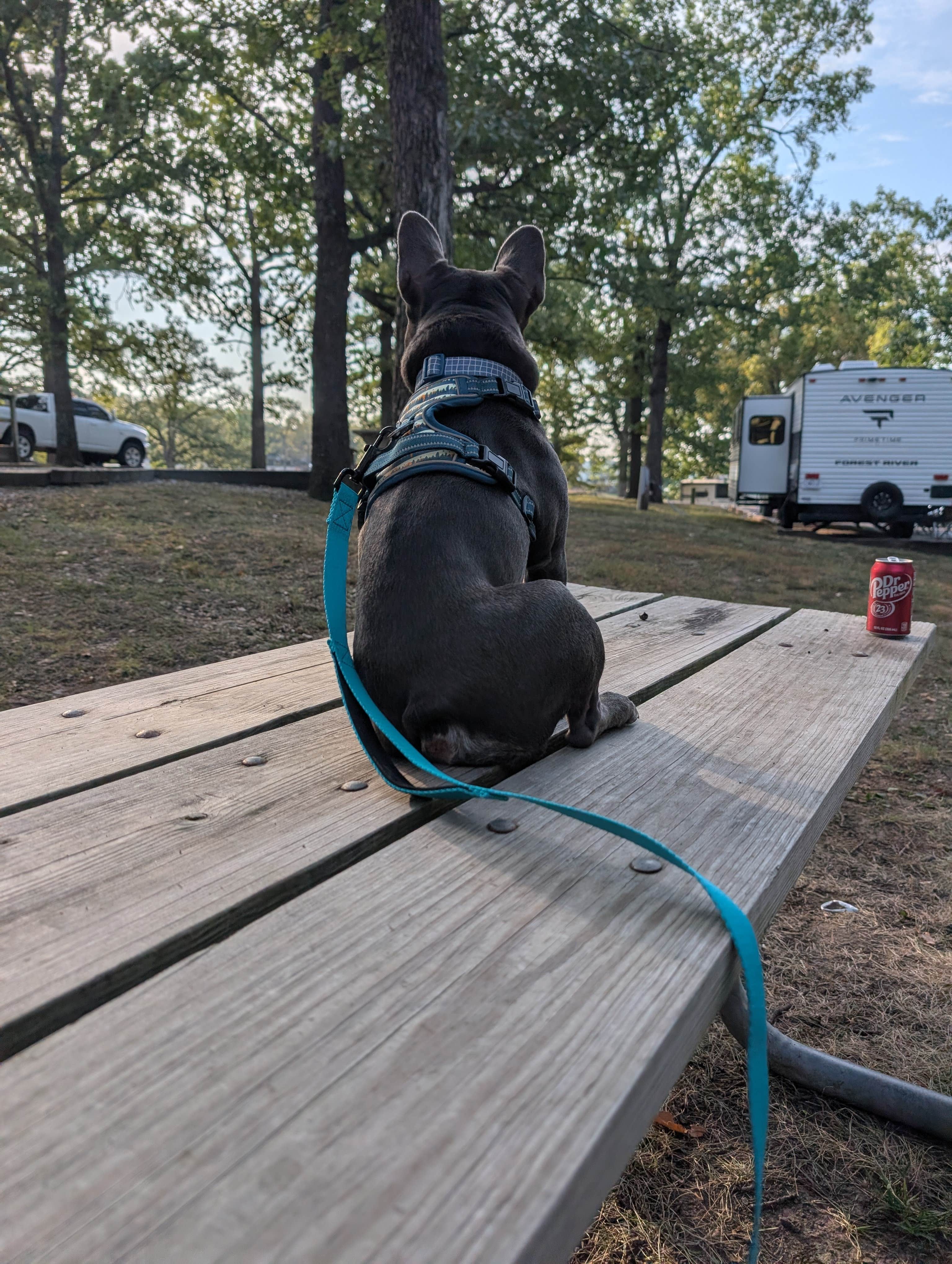 Camper-submitted photo at Wheatland Park near Pittsburg, MO