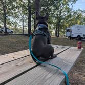 Review photo of Wheatland Park by Dana S., August 23, 2026