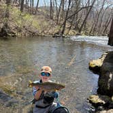 Review photo of Misty Mornings Arkansas Cabins & RV Sites by aubree T., March 19, 2026