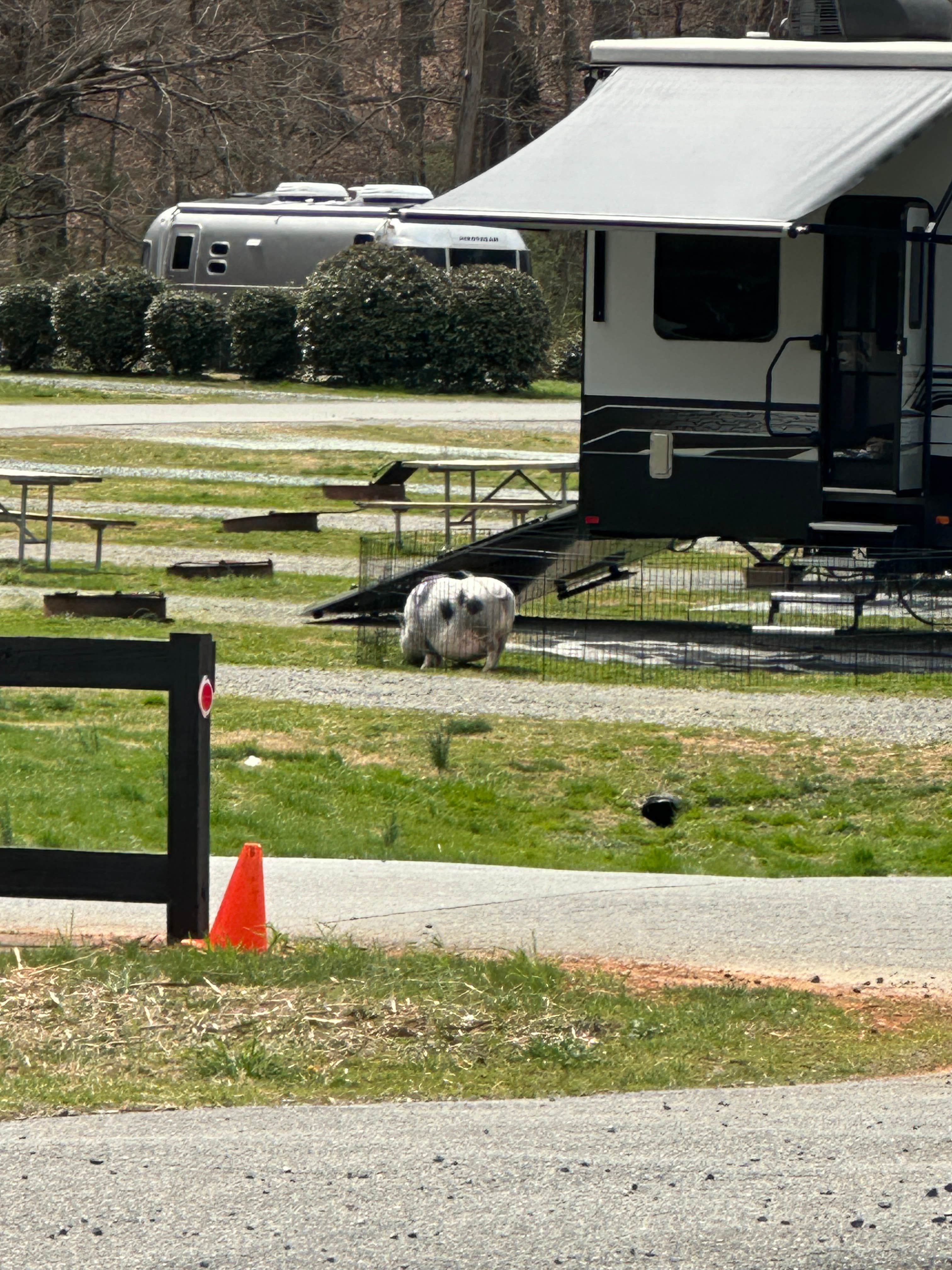 Christopher T.'s photo of rv camping at Misty Mountain Camp Resort near Earlysville, VA