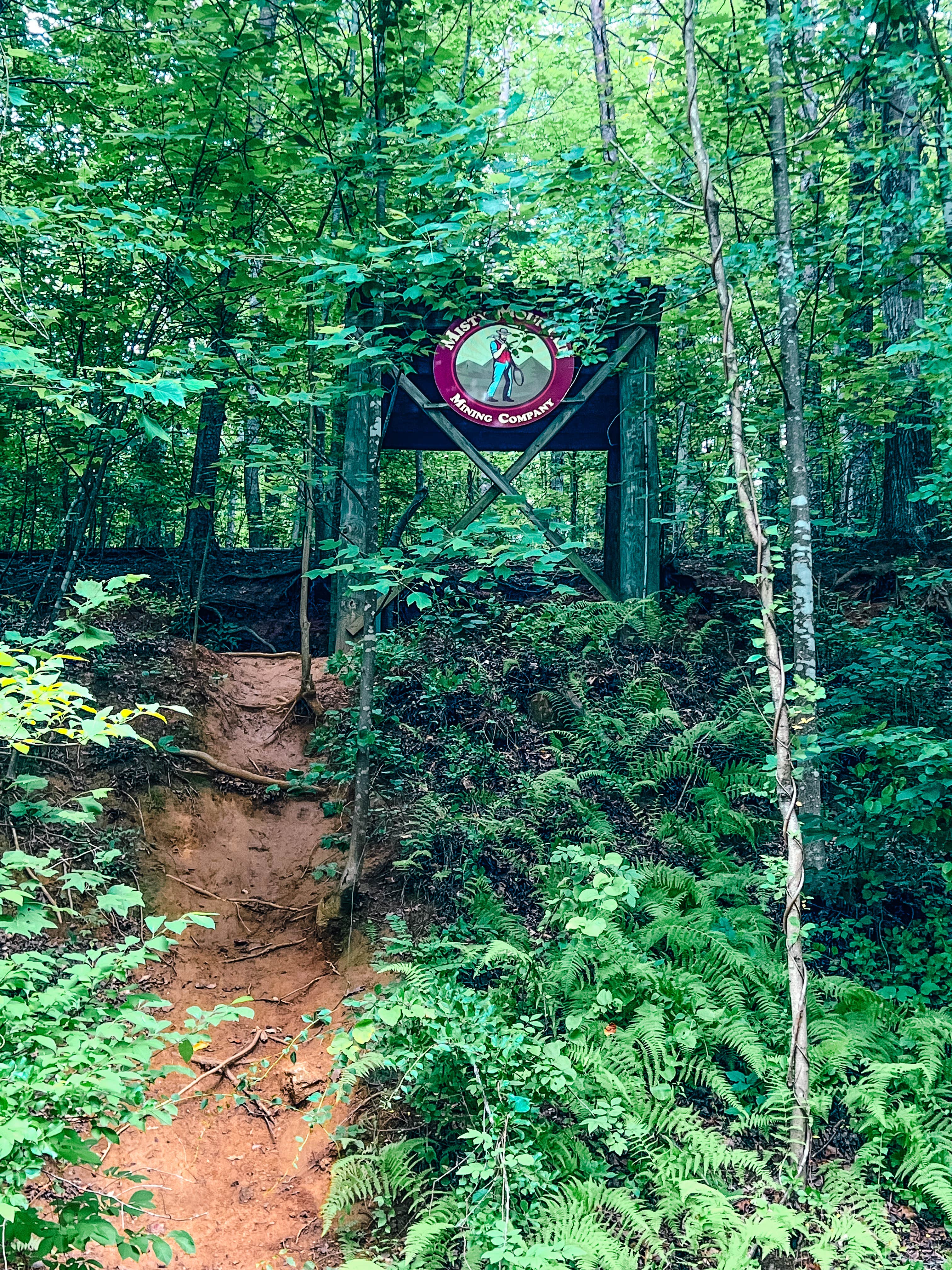 Chaz M.'s photo of a cabin at Misty Mountain Camp Resort near Norwood, VA