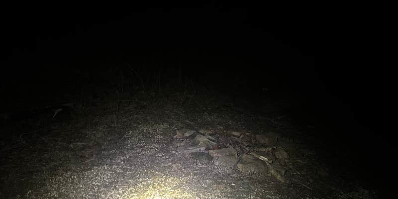 Camper submitted image from Mitchell Creek Road