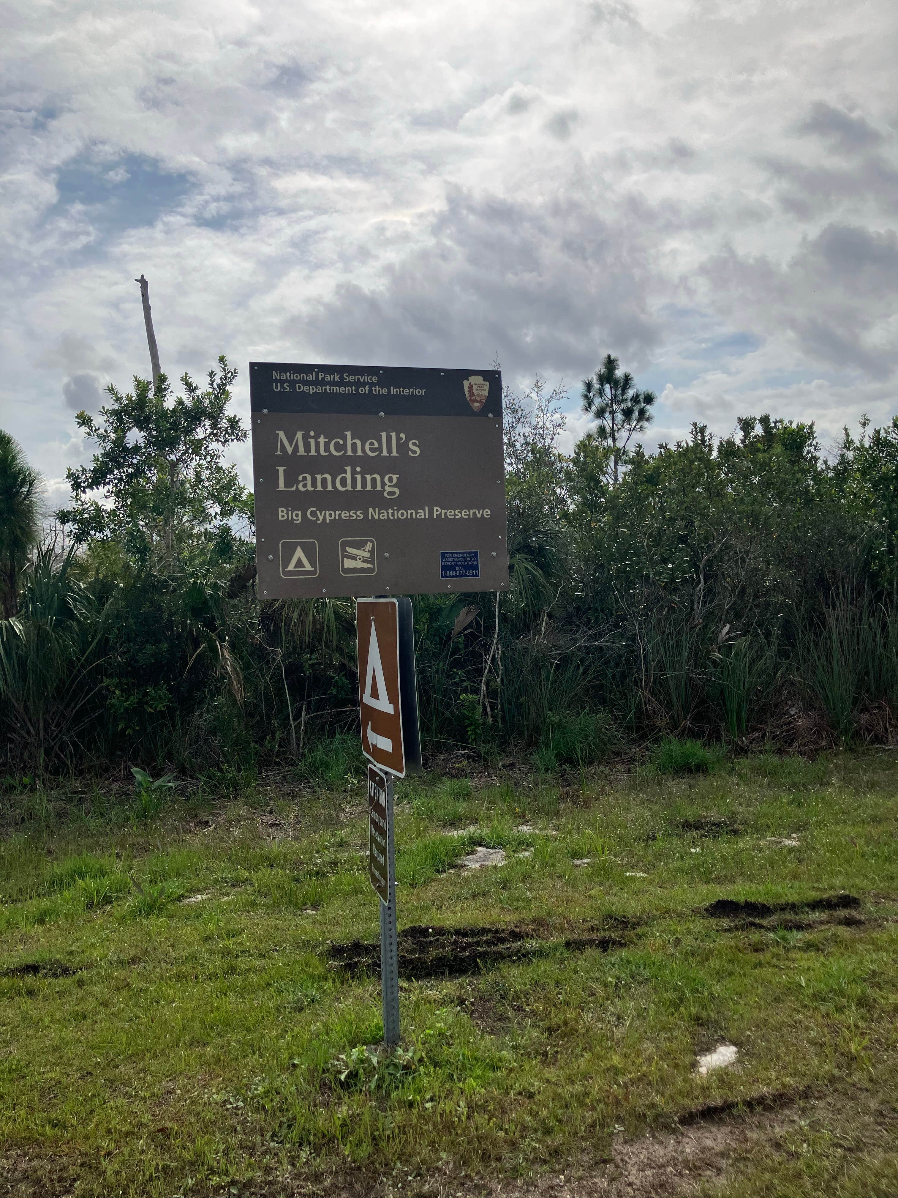 Camper-submitted photo at Mitchell Landing Campground — Big Cypress National Preserve near Big Cypress National Preserve