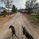 Review photo of Moab Glamping and RV Resort by Jackie A., October 28, 2024