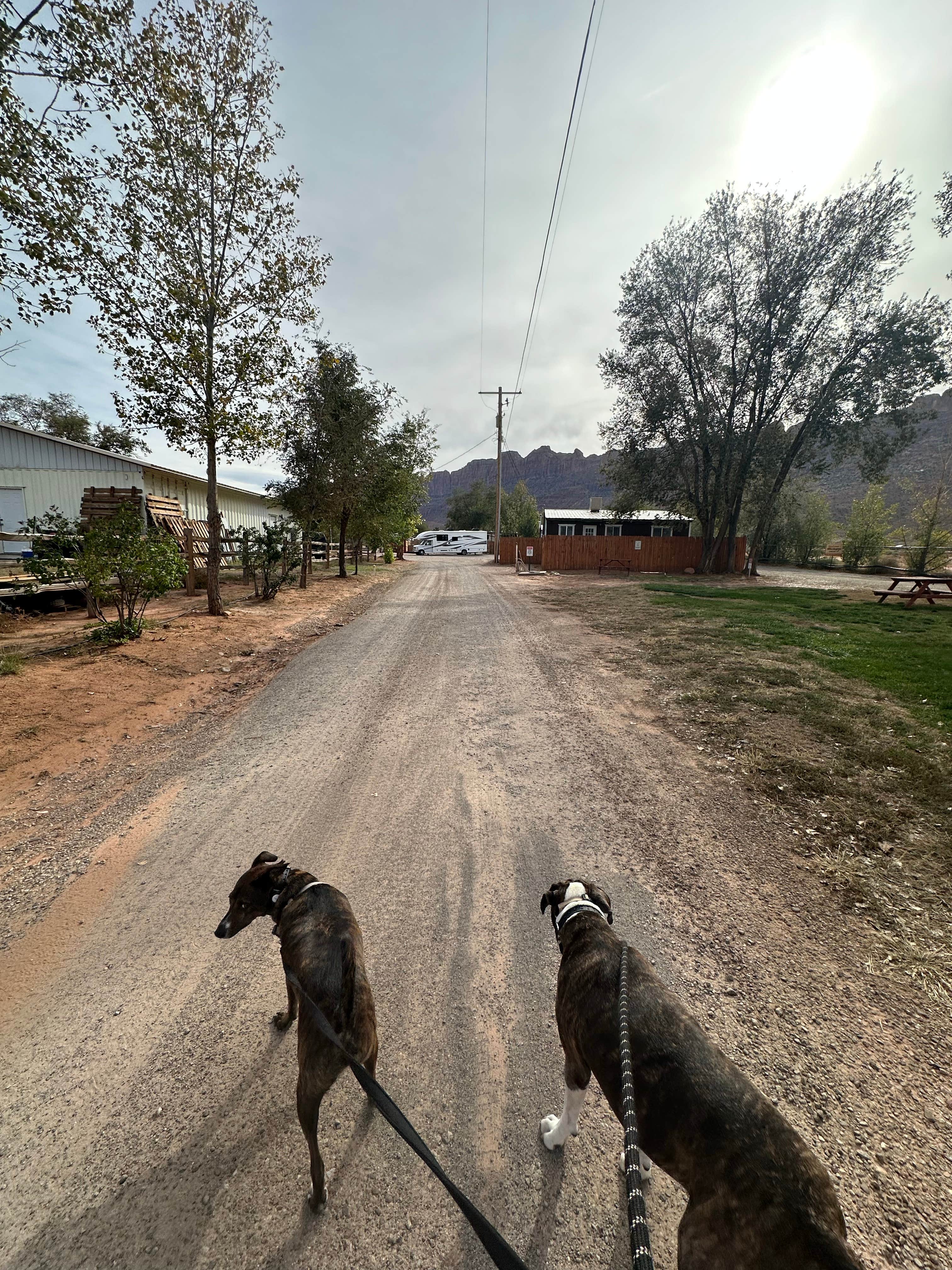 Camper submitted image from Moab Glamping and RV Resort - 5