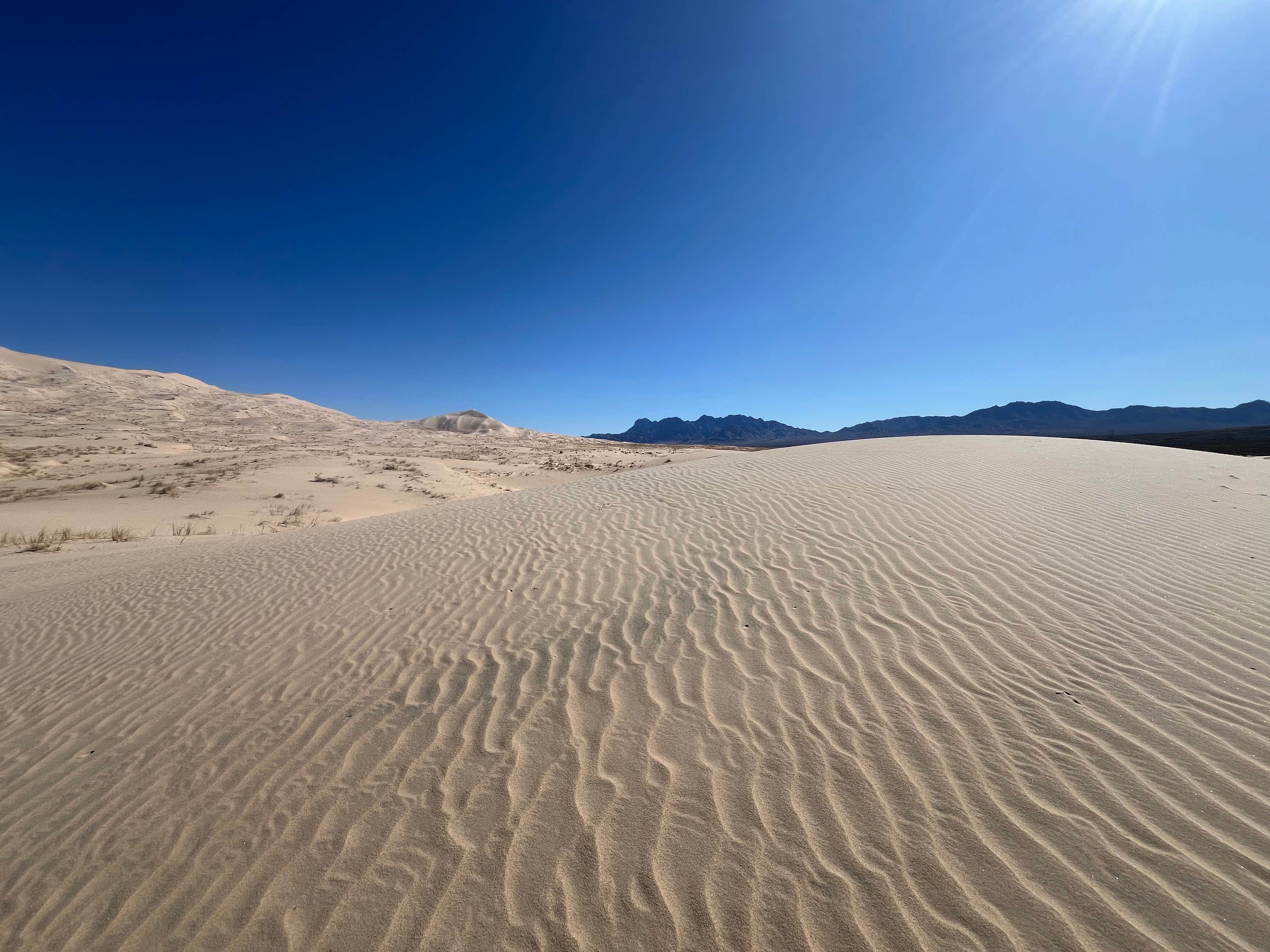 Camper-submitted photo at Kelbaker Road Dispersed Camping — Mojave National Preserve near Baker, CA