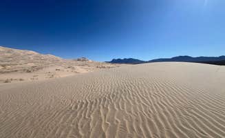 Mara S.'s photo of a dispersed camping area at Kelbaker Road Dispersed Camping — Mojave National Preserve near Baker, CA