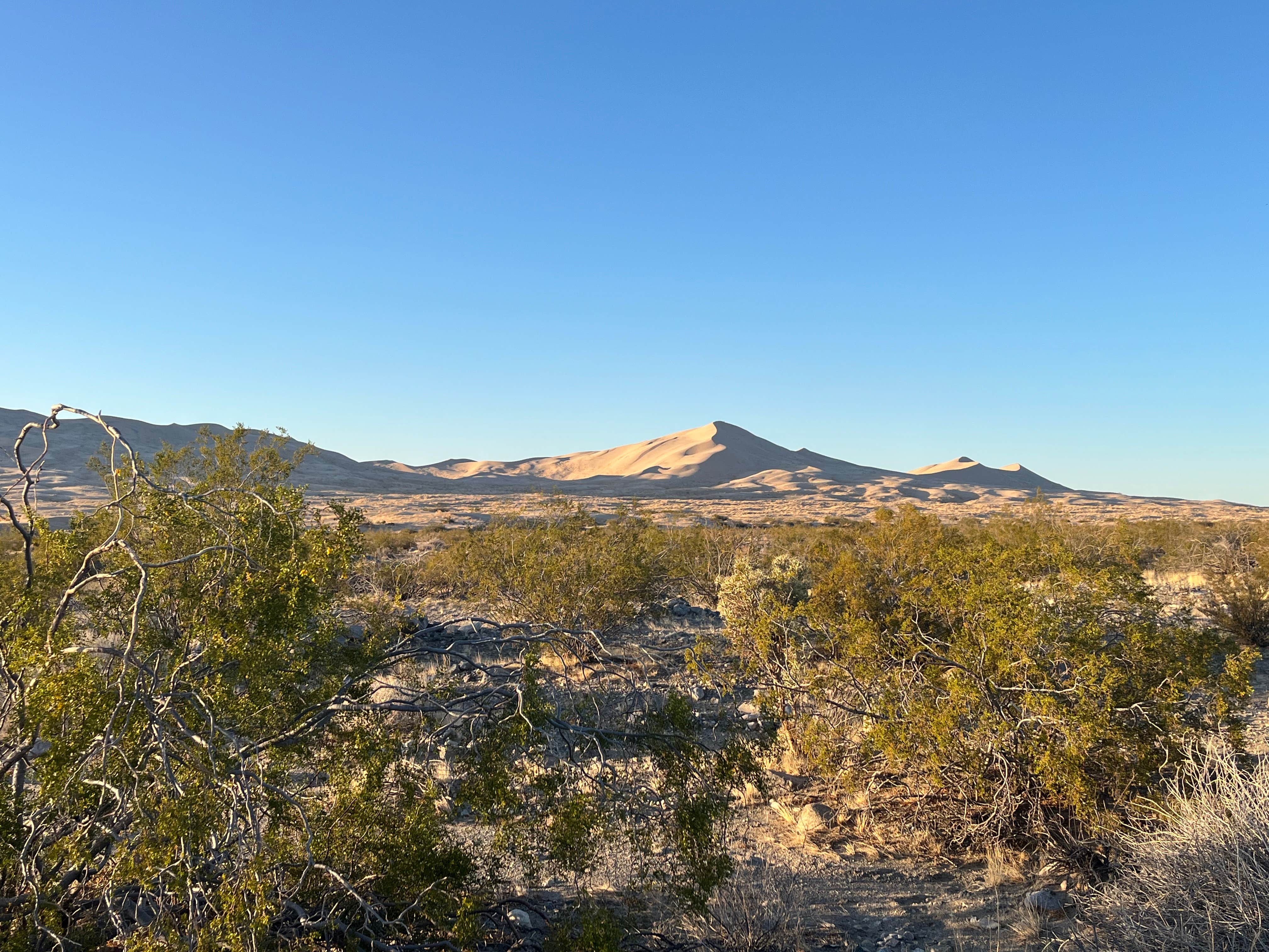 Camper-submitted photo at Kelbaker Road Dispersed Camping — Mojave National Preserve near Baker, CA