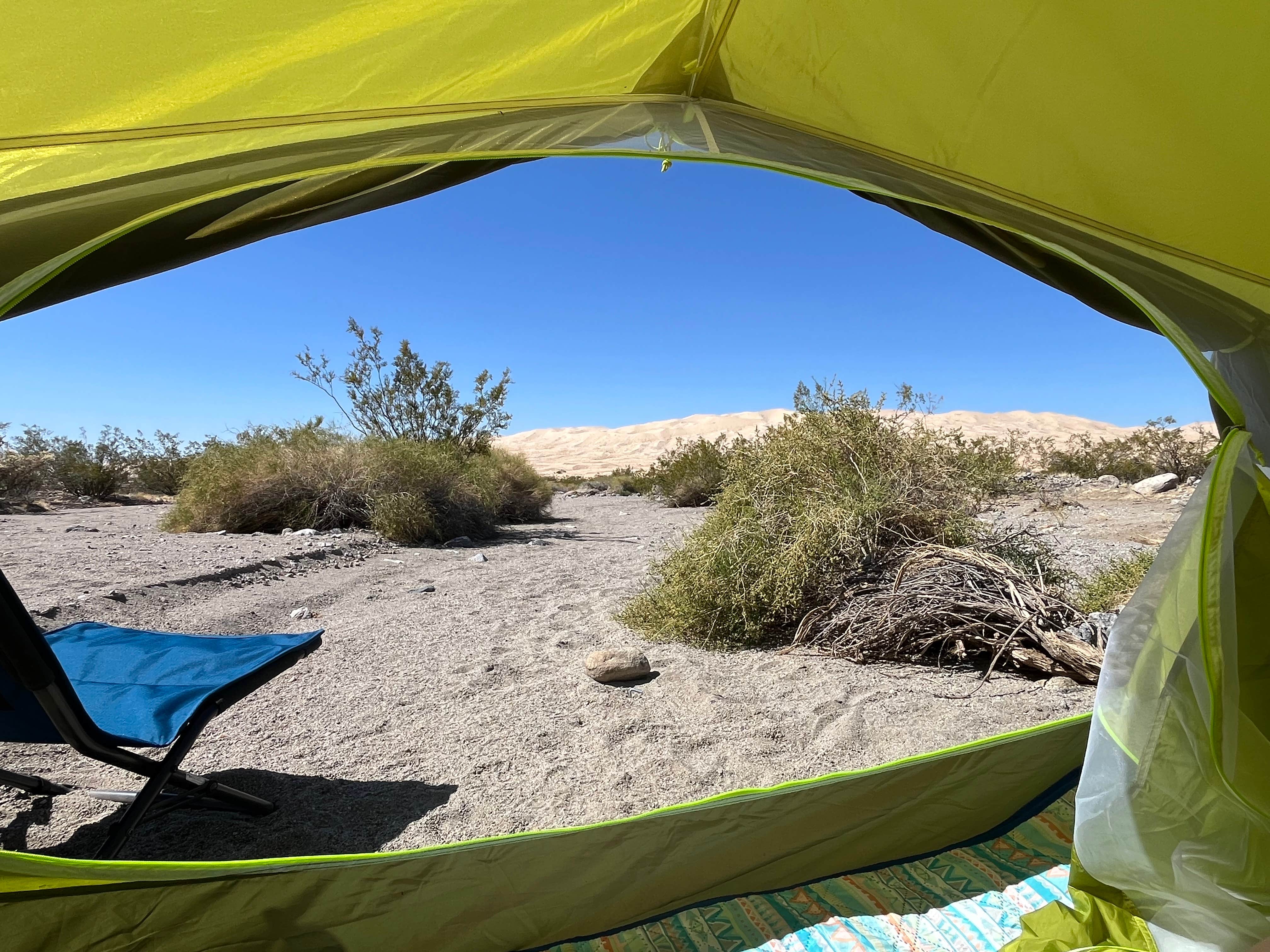 Camping near Mojave Preserve: Kelbaker Road Dispersed Camping — Mojave National Preserve, Cima, California