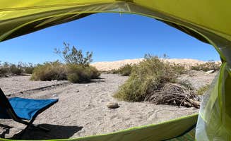 Mara S.'s photo at Kelbaker Road Dispersed Camping — Mojave National Preserve near Baker, CA