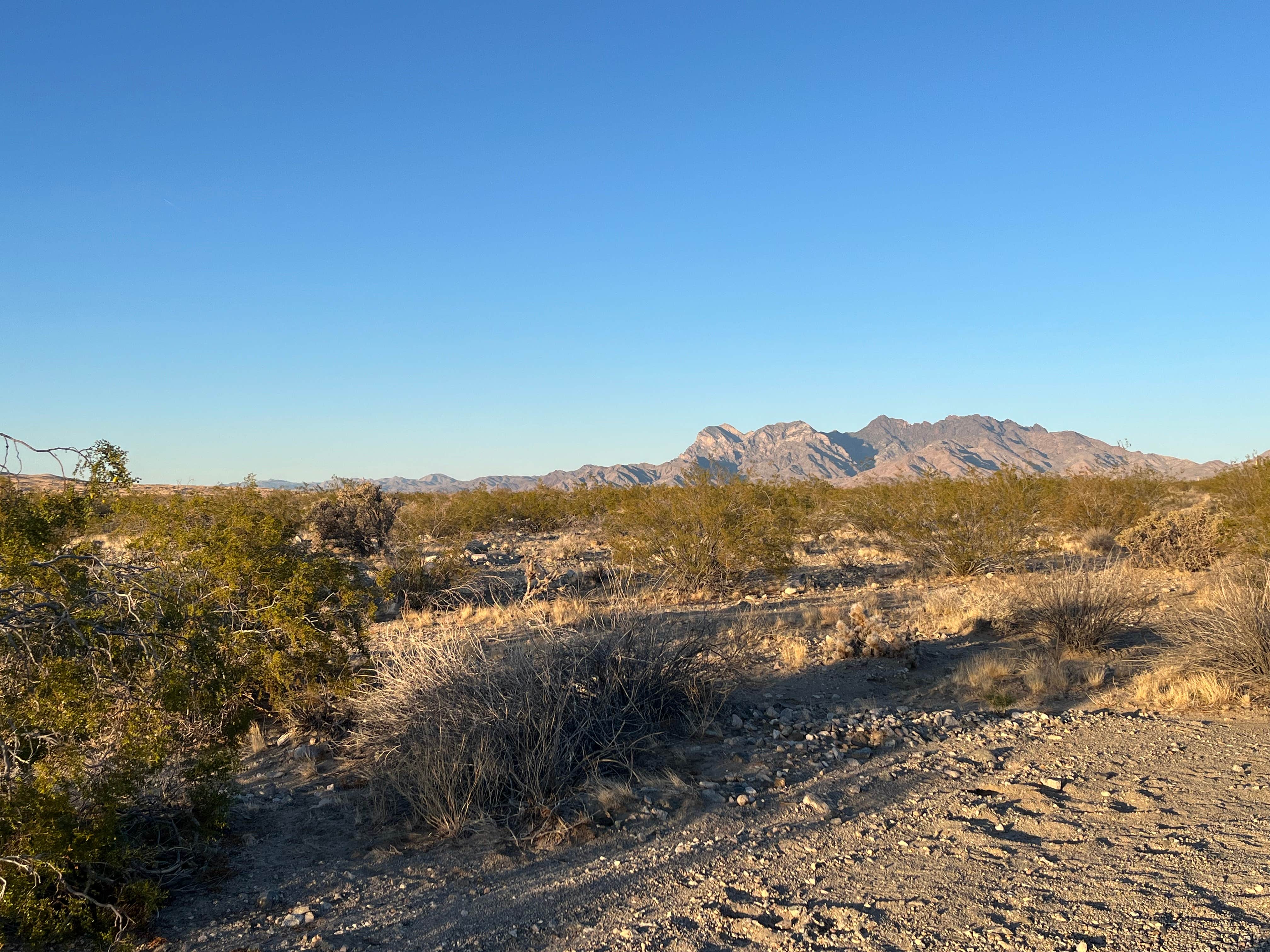 Camper-submitted photo at Kelbaker Road Dispersed Camping — Mojave National Preserve near Baker, CA