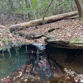 Review photo of Moccasin Branch Campground — Raven Rock State Park by jenn , January 5, 2025