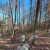 Review photo of Moccasin Branch Campground — Raven Rock State Park by jenn , January 5, 2025