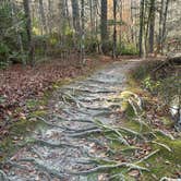 Review photo of Moccasin Branch Campground — Raven Rock State Park by jenn , January 5, 2025