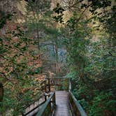 Review photo of Moccasin Branch Campground — Raven Rock State Park by jenn , January 5, 2025