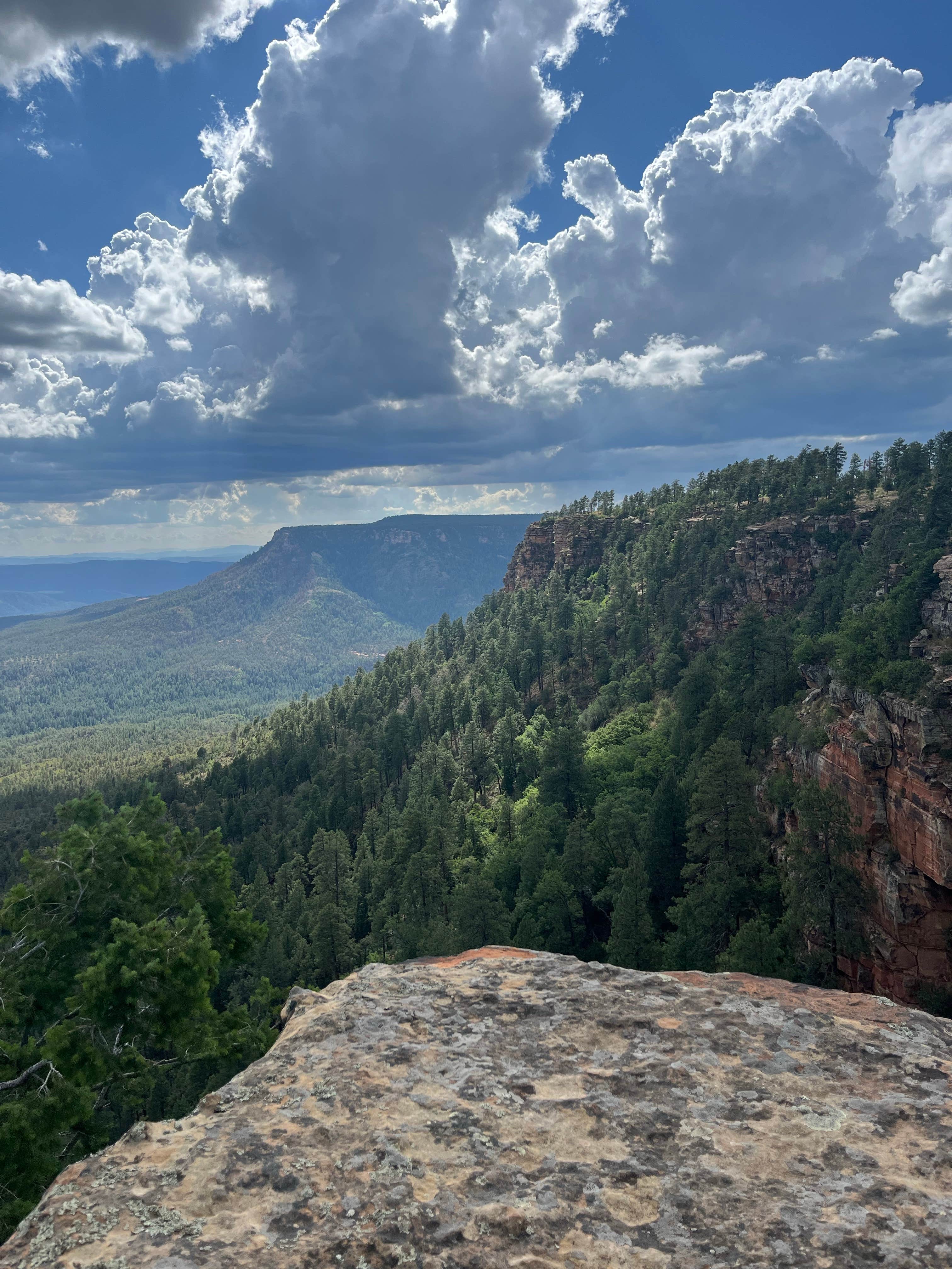 christa M.'s photo of a dispersed camping area at mogollion rim near Sun Valley, AZ