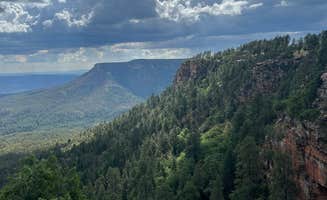 christa M.'s photo of a dispersed camping area at mogollion rim near Payson, AZ