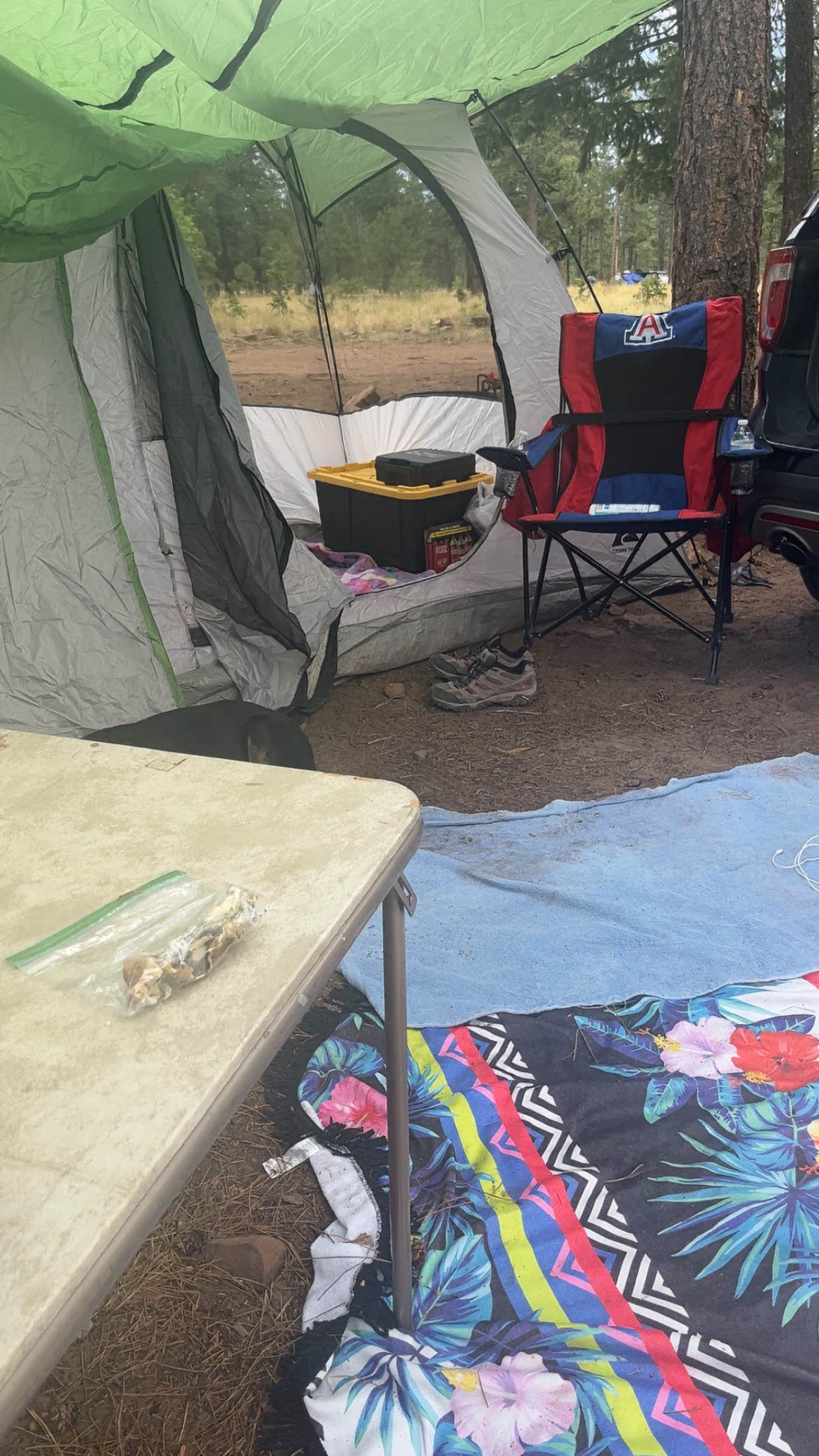 Camping near First Crossing: mogollion rim, Kohls Ranch, Arizona