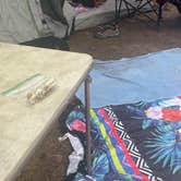 Review photo of mogollion rim by christa M., July 5, 2025