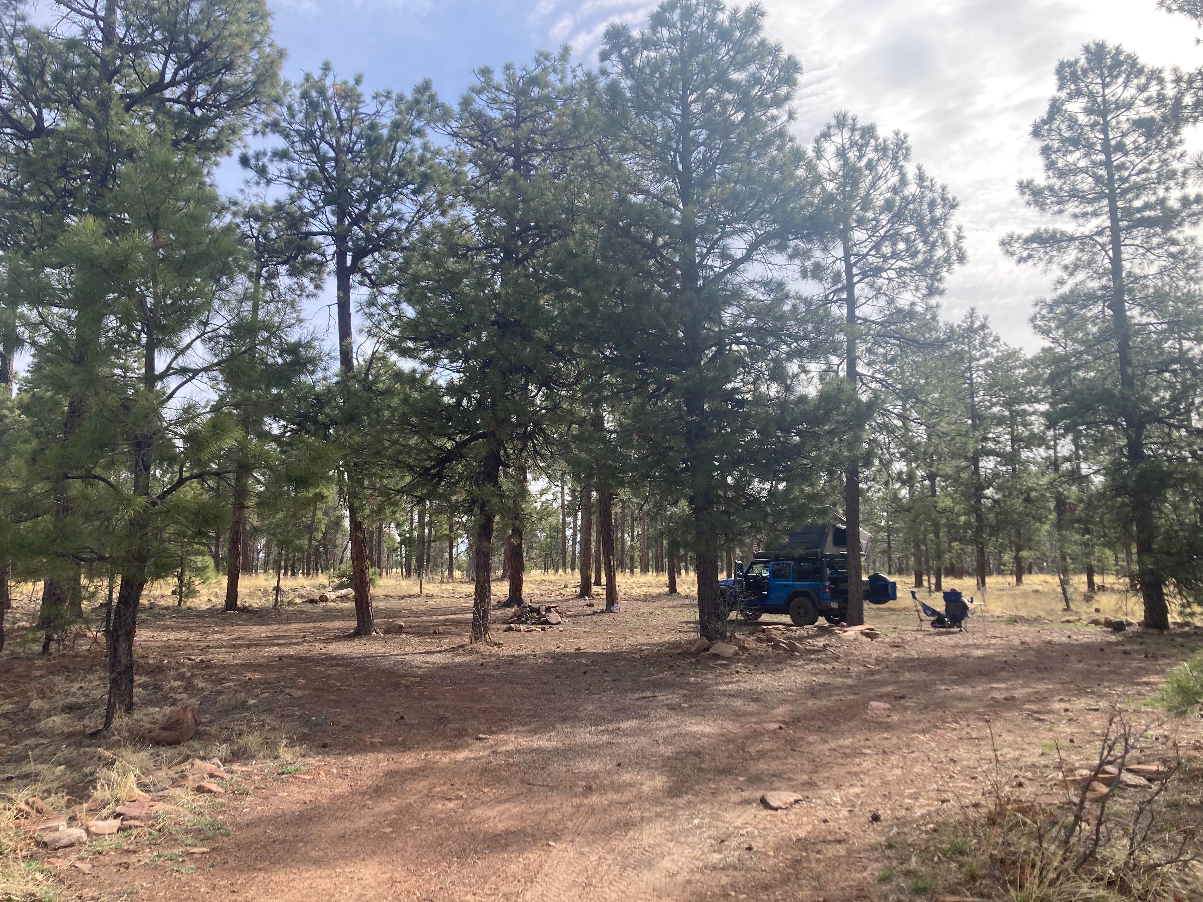 Mogollon Rimn Dispersed, AZ FR 9350