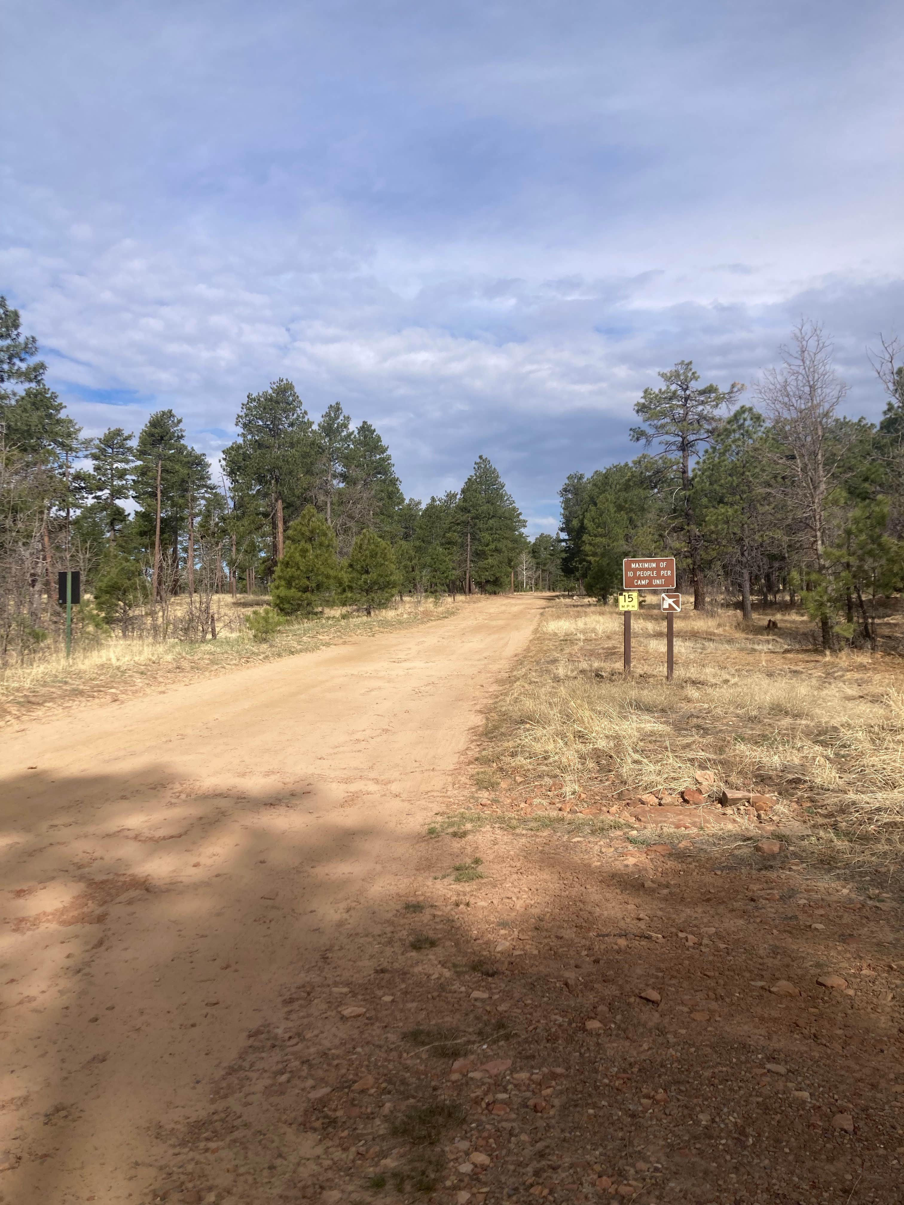 Camper-submitted photo at Mogollon Rimn Dispersed, AZ FR 9350 near Young, AZ
