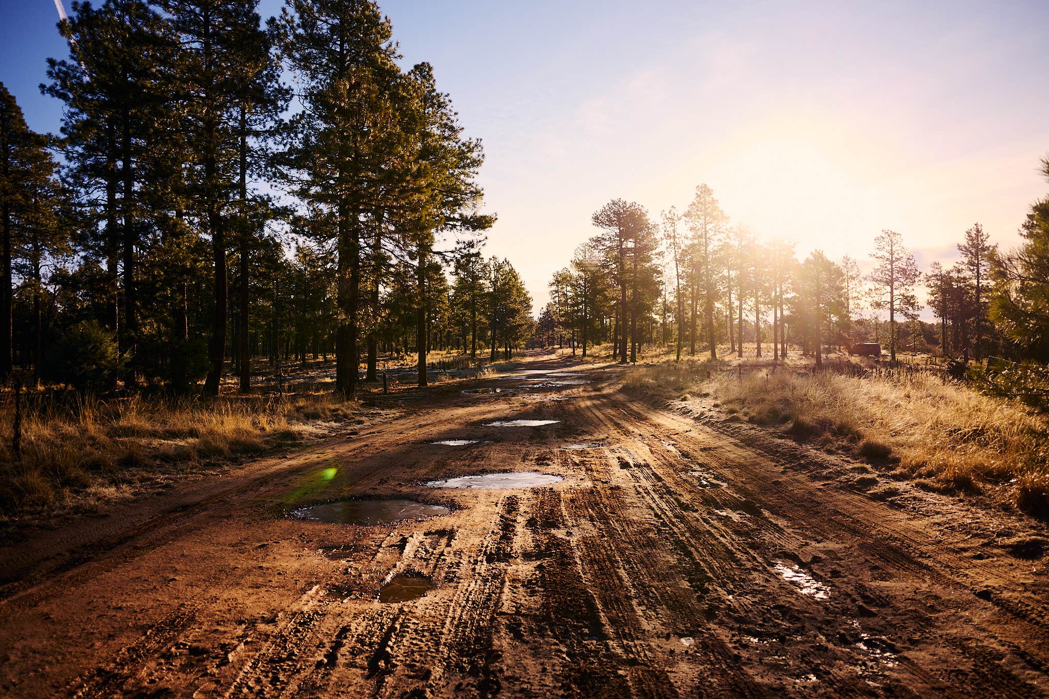 Kyle L.'s photo of a dispersed camping area at Mogollon Rimn Dispersed, AZ FR 9350 near Young, AZ