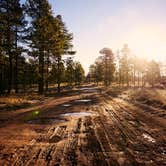 Review photo of Mogollon Rimn Dispersed, AZ FR 9350 by Kyle L., January 10, 2026