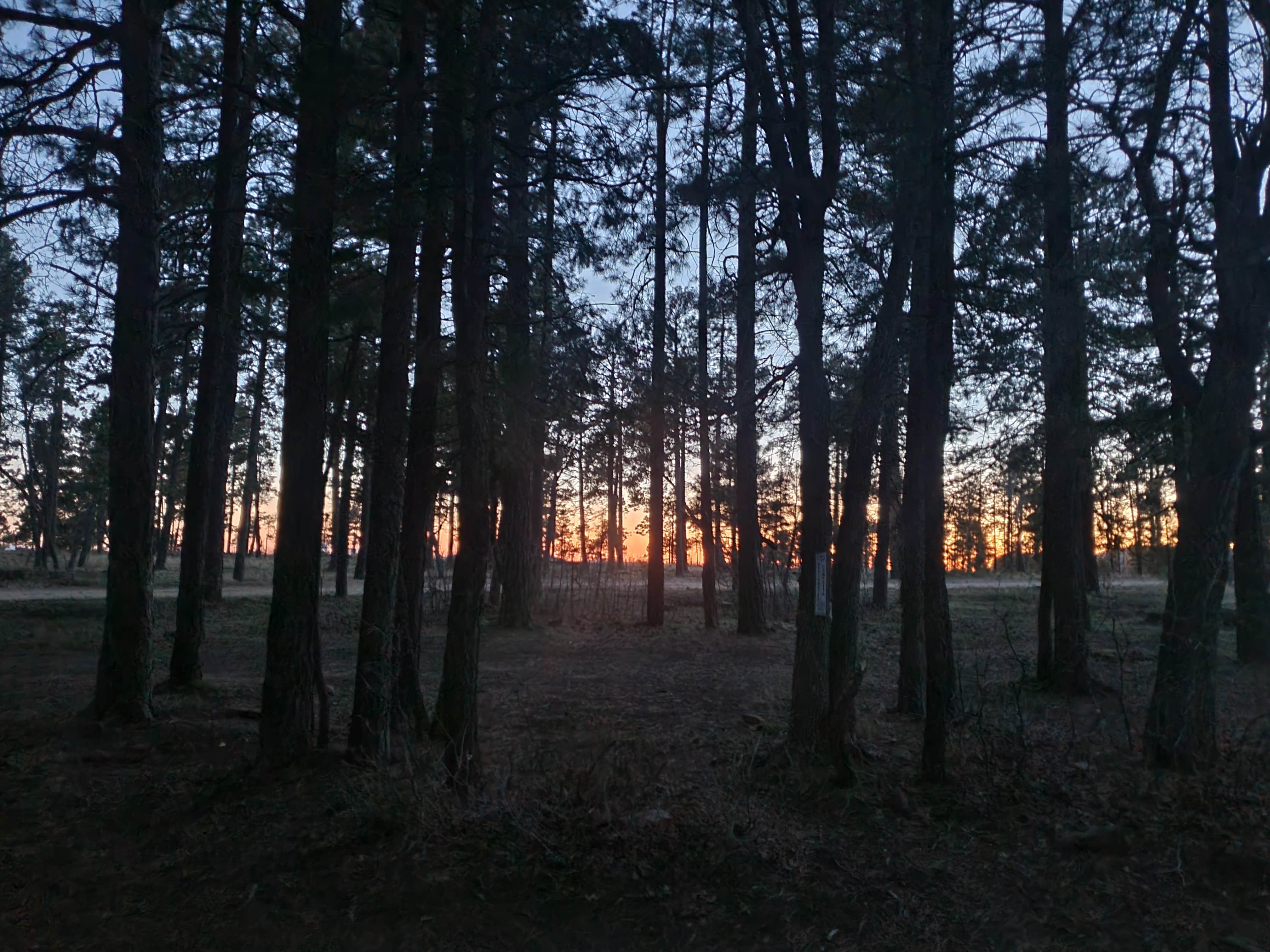 Camper-submitted photo at Mogollon Rimn Dispersed, AZ FR 9350 near Forest Lakes, AZ