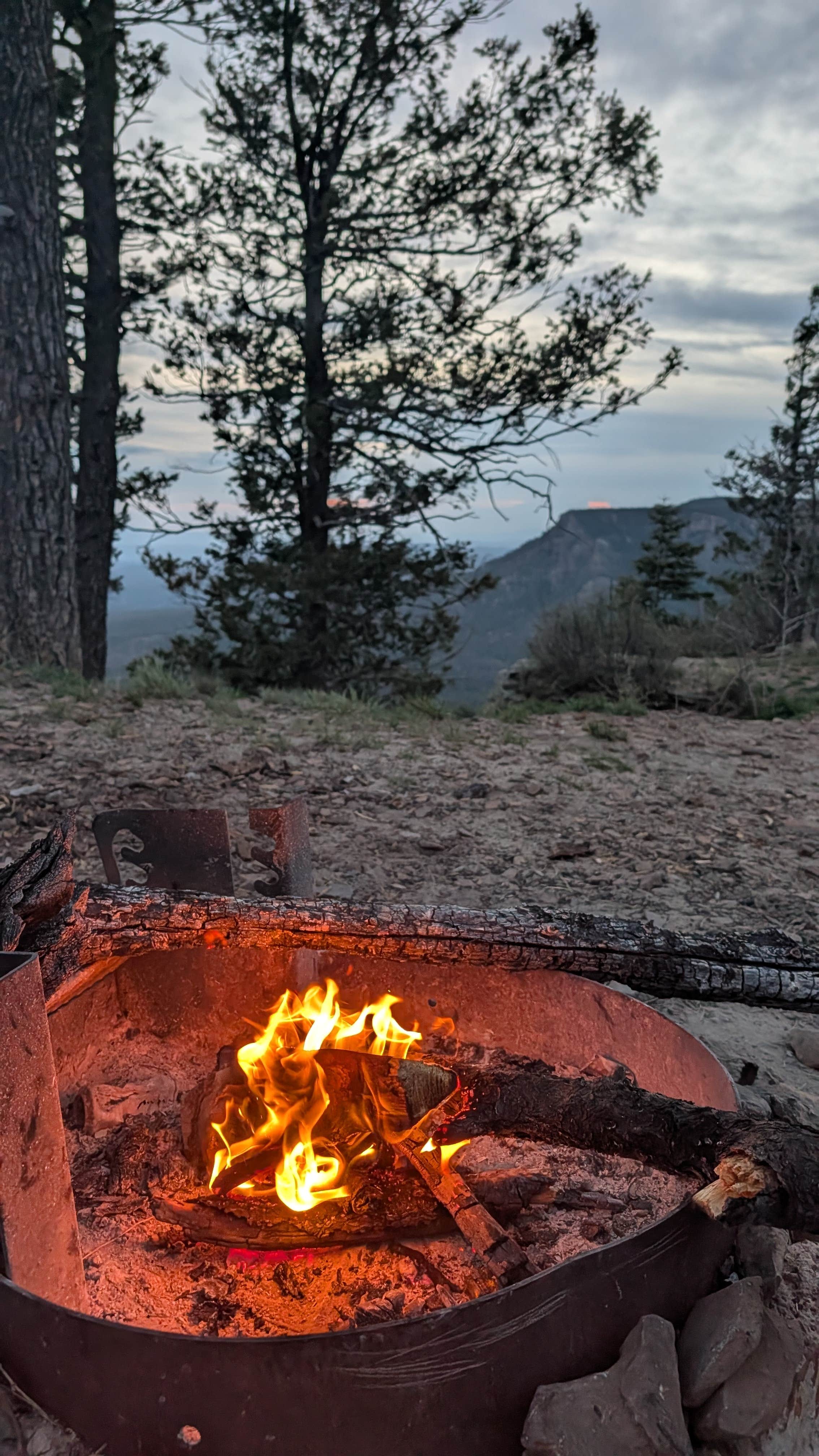 Camping near Bear Willow Road Dispersed Camping: Mogollon Rimn Dispersed, AZ FR 9350, Kohls Ranch, Arizona