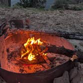 Review photo of Mogollon Rimn Dispersed, AZ FR 9350 by Felix B., March 31, 2026