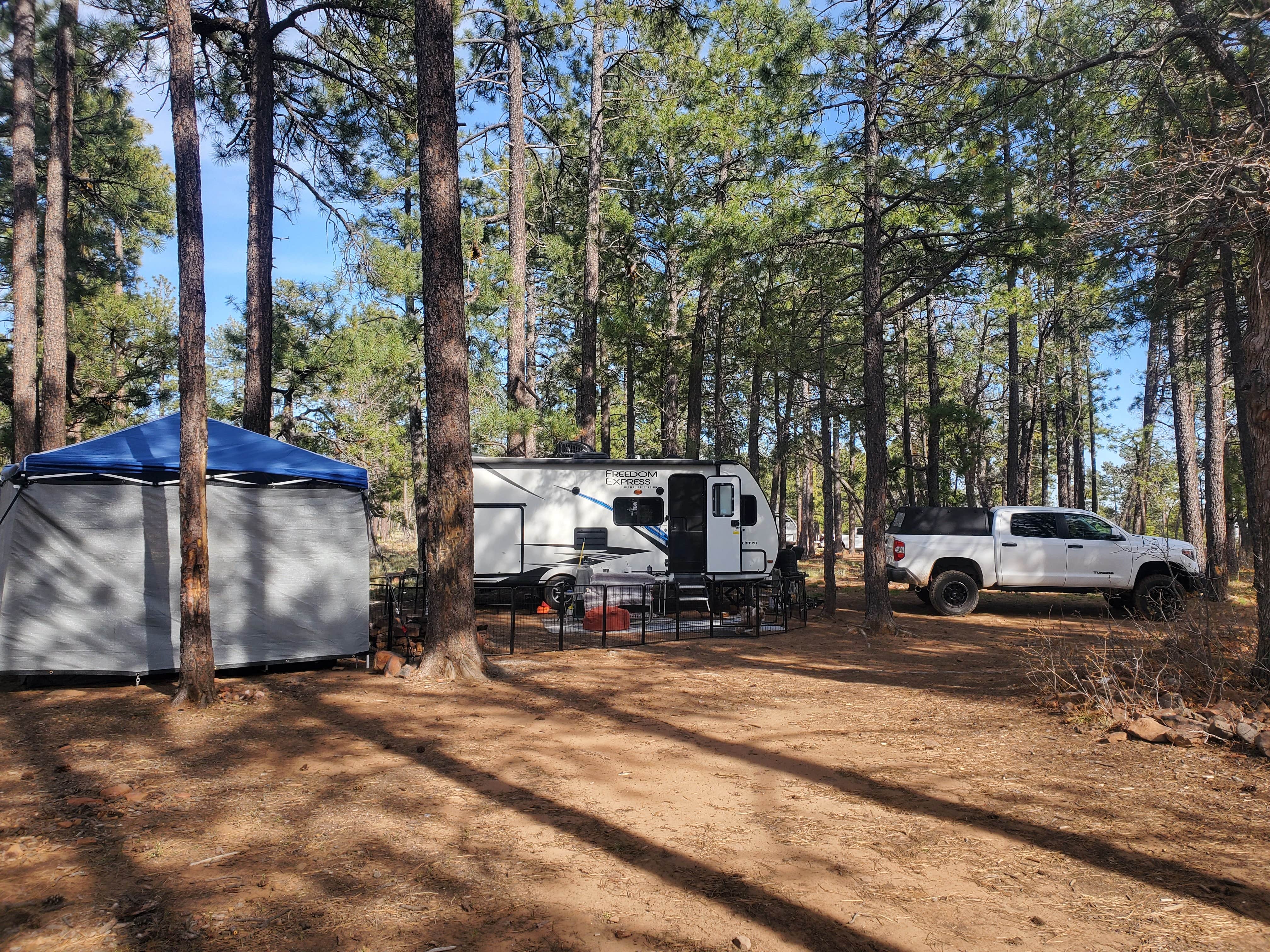 Wayne  B.'s photo of a dispersed camping area at Mogollon Rimn Dispersed, AZ FR 9350 near Forest Lakes, AZ