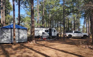 Wayne B.'s photo at Mogollon Rimn Dispersed, AZ FR 9350 near Kohls Ranch, AZ