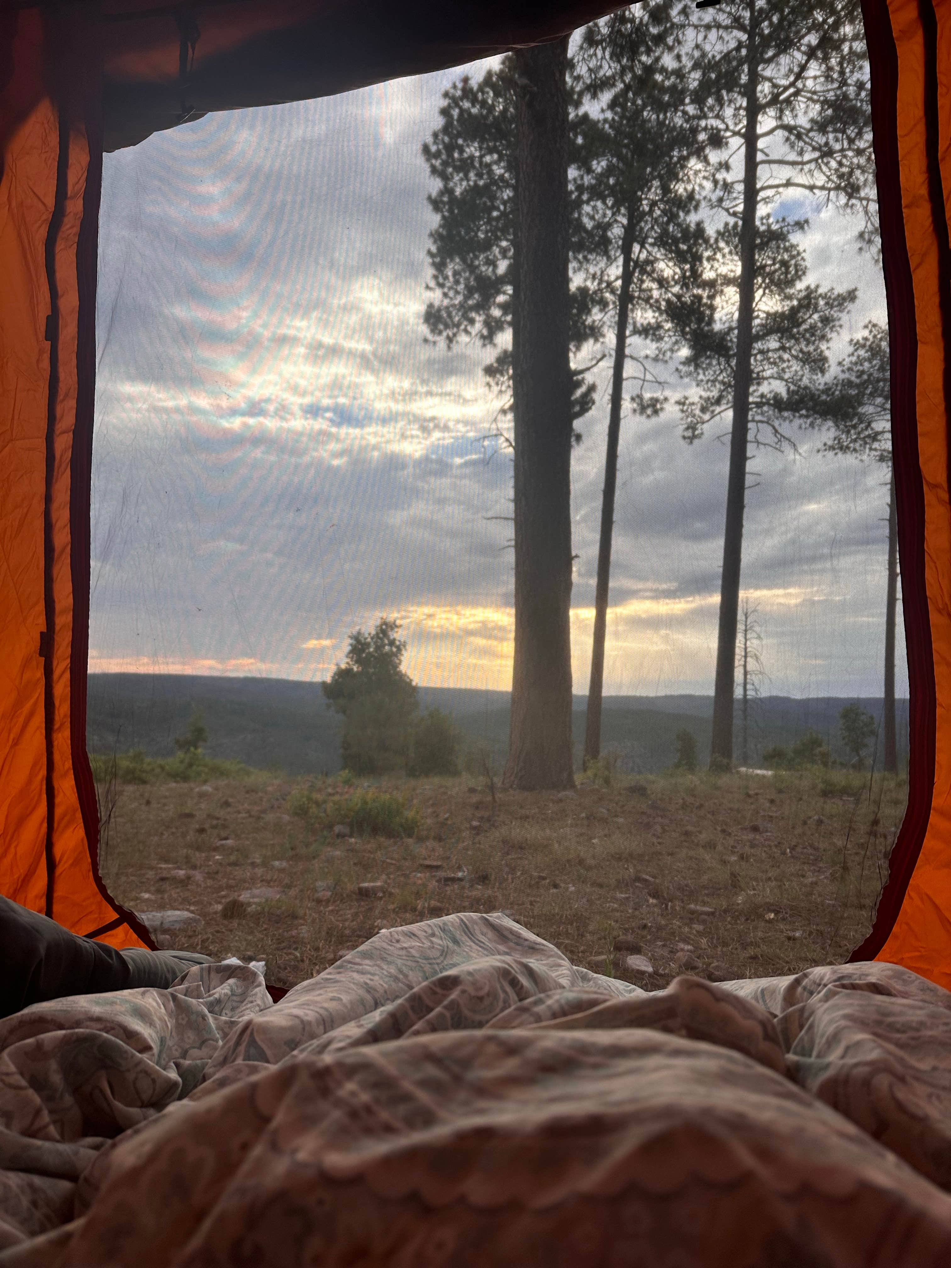 Camper submitted image from FR738 Dispersed Camping - 3