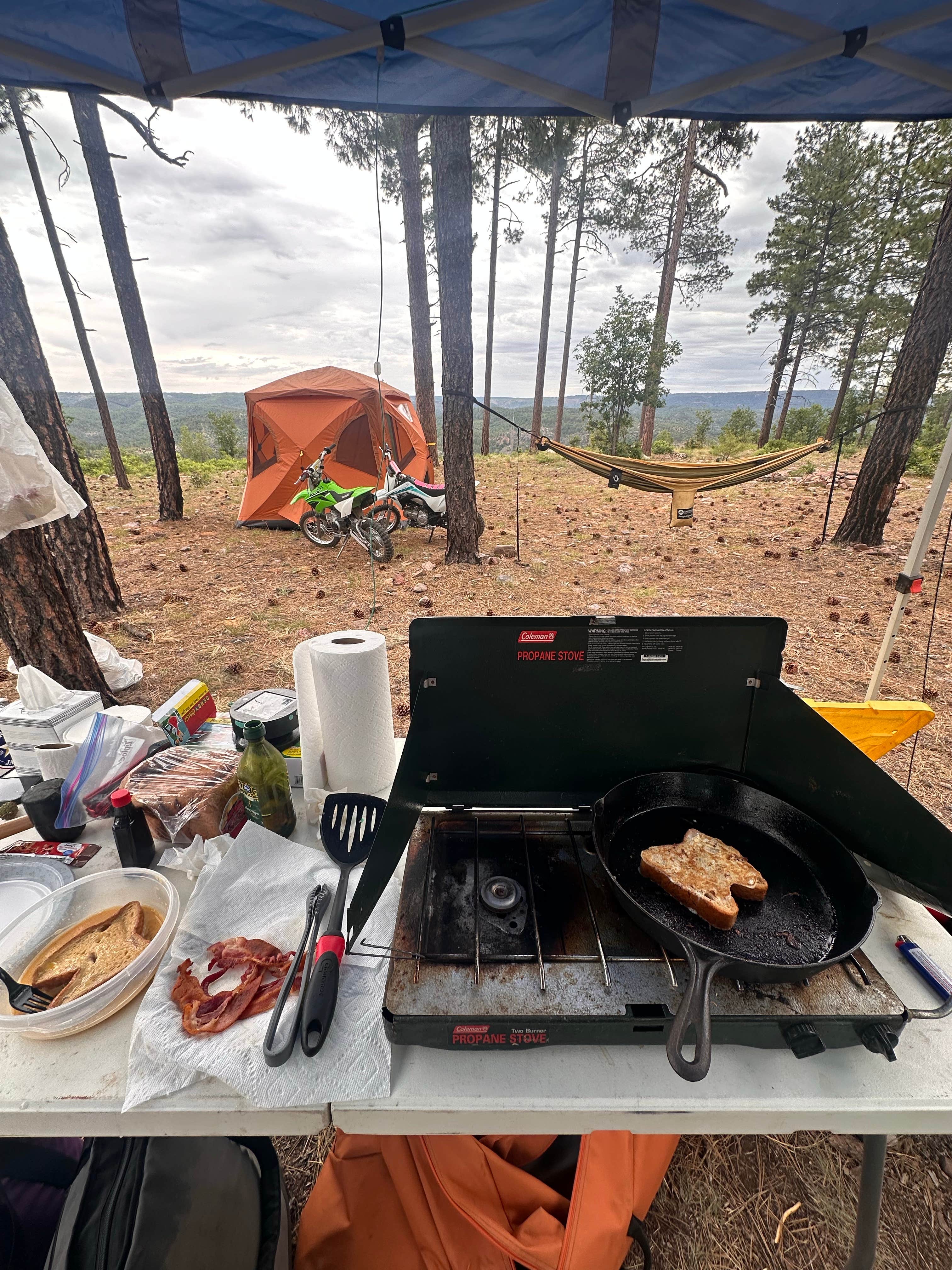 Camper-submitted photo at FR738 Dispersed Camping near Young, AZ