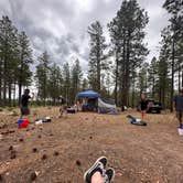 Review photo of FR738 Dispersed Camping by Caitlin S., June 27, 2024