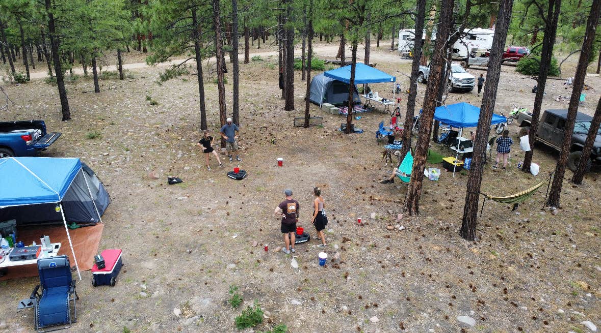 Caitlin S.'s photo of a dispersed camping area at FR738 Dispersed Camping near Young, AZ