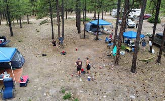 Caitlin S.'s photo of a dispersed camping area at FR738 Dispersed Camping near Young, AZ
