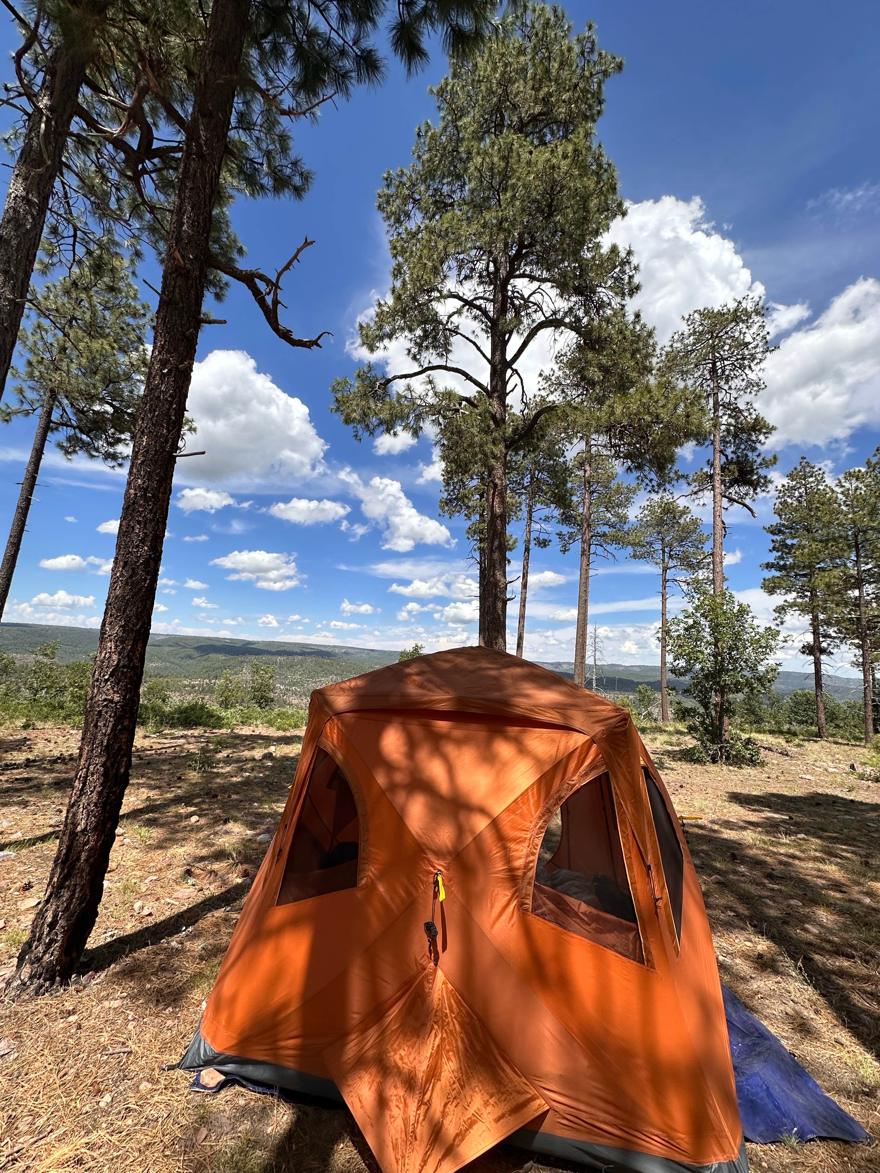 Camper-submitted photo at FR738 Dispersed Camping near Young, AZ