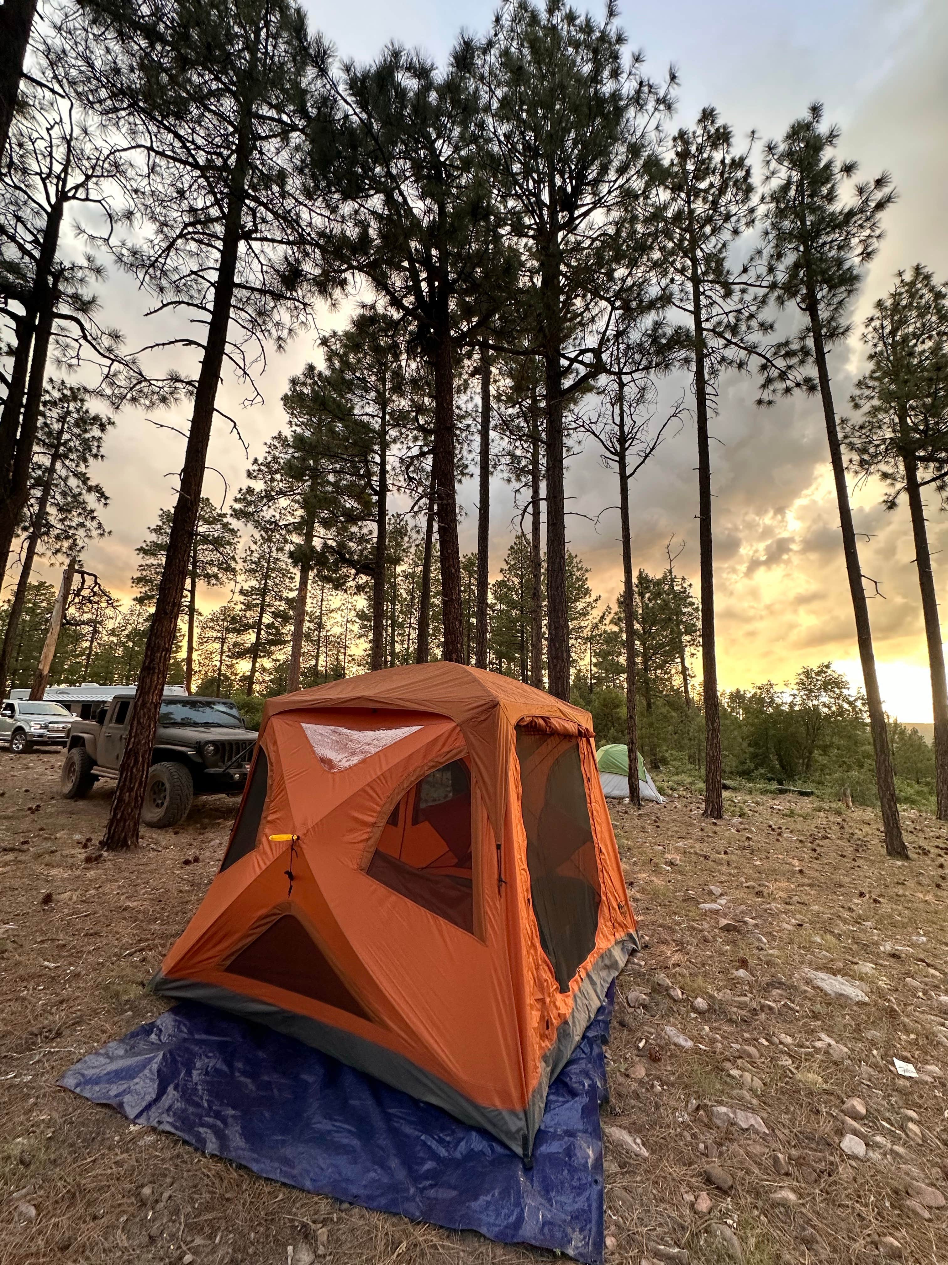 Camper submitted image from FR738 Dispersed Camping - 4