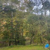 Review photo of Mohican Memorial State Forest Park and Pack Site 1 by Gabrielle K., October 3, 2023