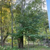 Review photo of Mohican Memorial State Forest Park and Pack Site 1 by Gabrielle K., October 3, 2023