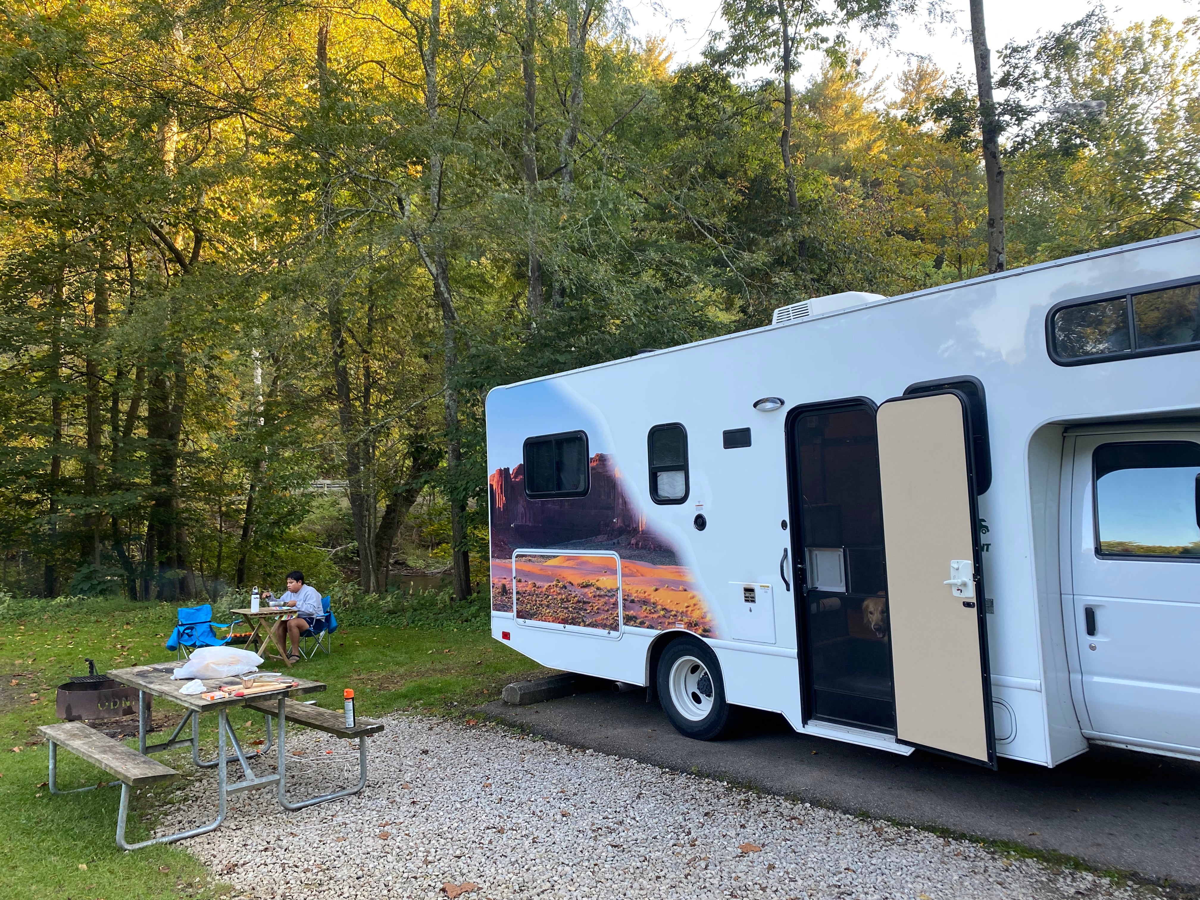 Camper submitted image from Mohican Memorial State Forest Park and Pack Site 1 - 5