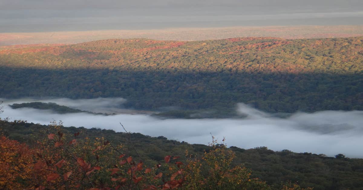 Mohican Walk-In Campsites