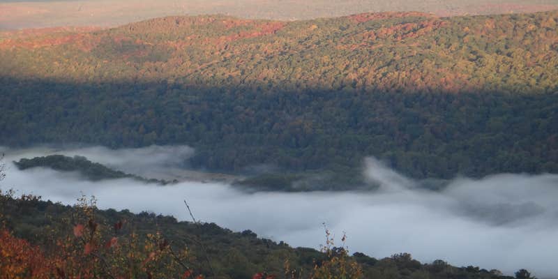 Camper submitted image from Mohican Walk-In Campsites