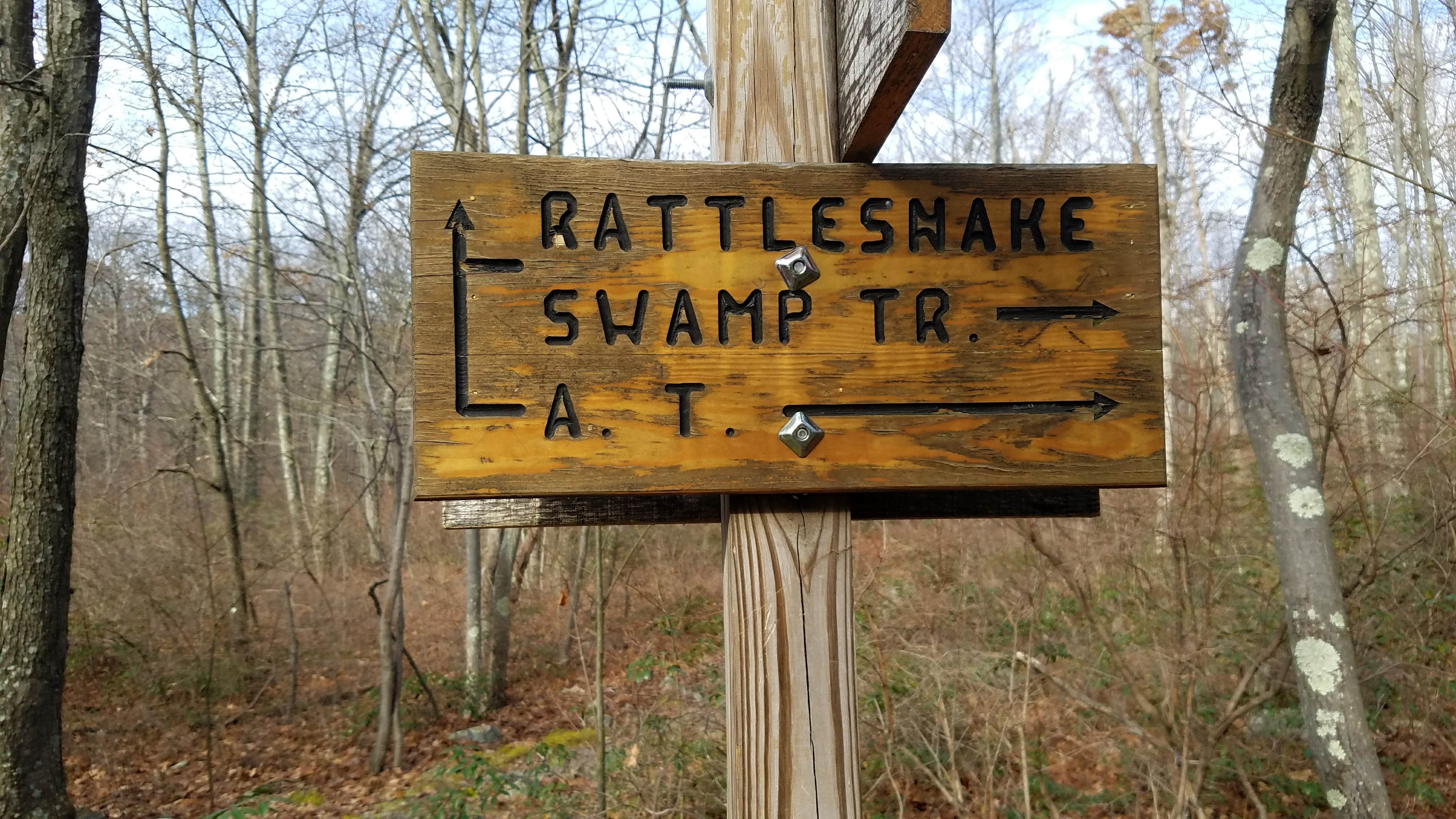 Camper-submitted photo at Mohican Walk-In Campsites near Johnsonburg, NJ