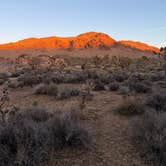 Review photo of Mojave Cross Dispersed — Mojave National Preserve by Volodymyr S., November 30, 2025