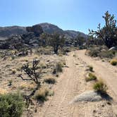 Review photo of Mojave Cross Dispersed — Mojave National Preserve by Meghan B., April 27, 2025