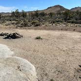 Review photo of Mojave Cross Dispersed — Mojave National Preserve by Meghan B., April 27, 2025