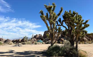 Meghan B.'s photo of a dispersed camping area at Mojave Cross Dispersed — Mojave National Preserve near Baker, CA